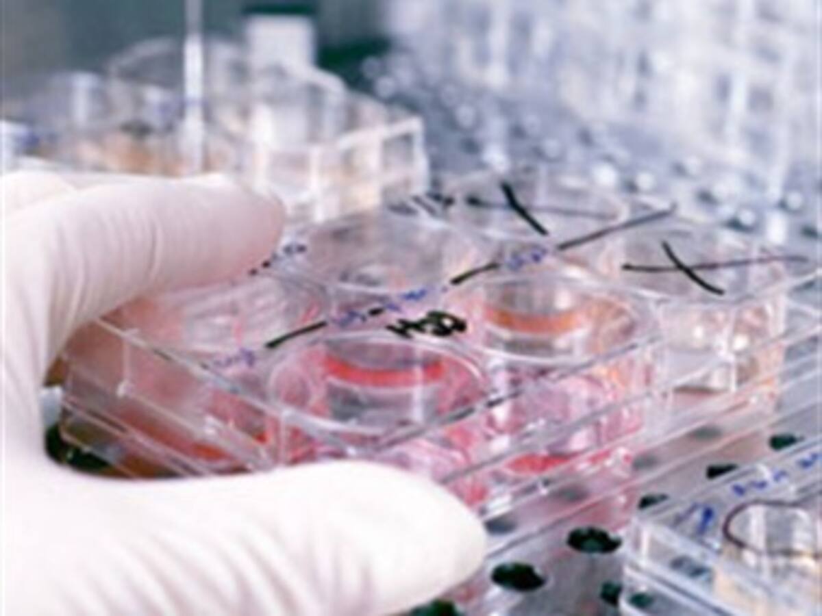 Solamente 40 IPS tienen autorización para practicar tratamientos oncológicos