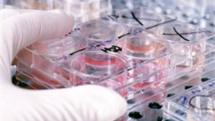 Solamente 40 IPS tienen autorización para practicar tratamientos oncológicos