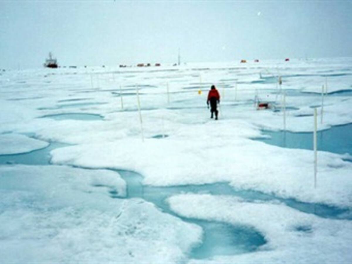 Científico español dice que el Ártico se quedará sin hielo en verano en 2018
