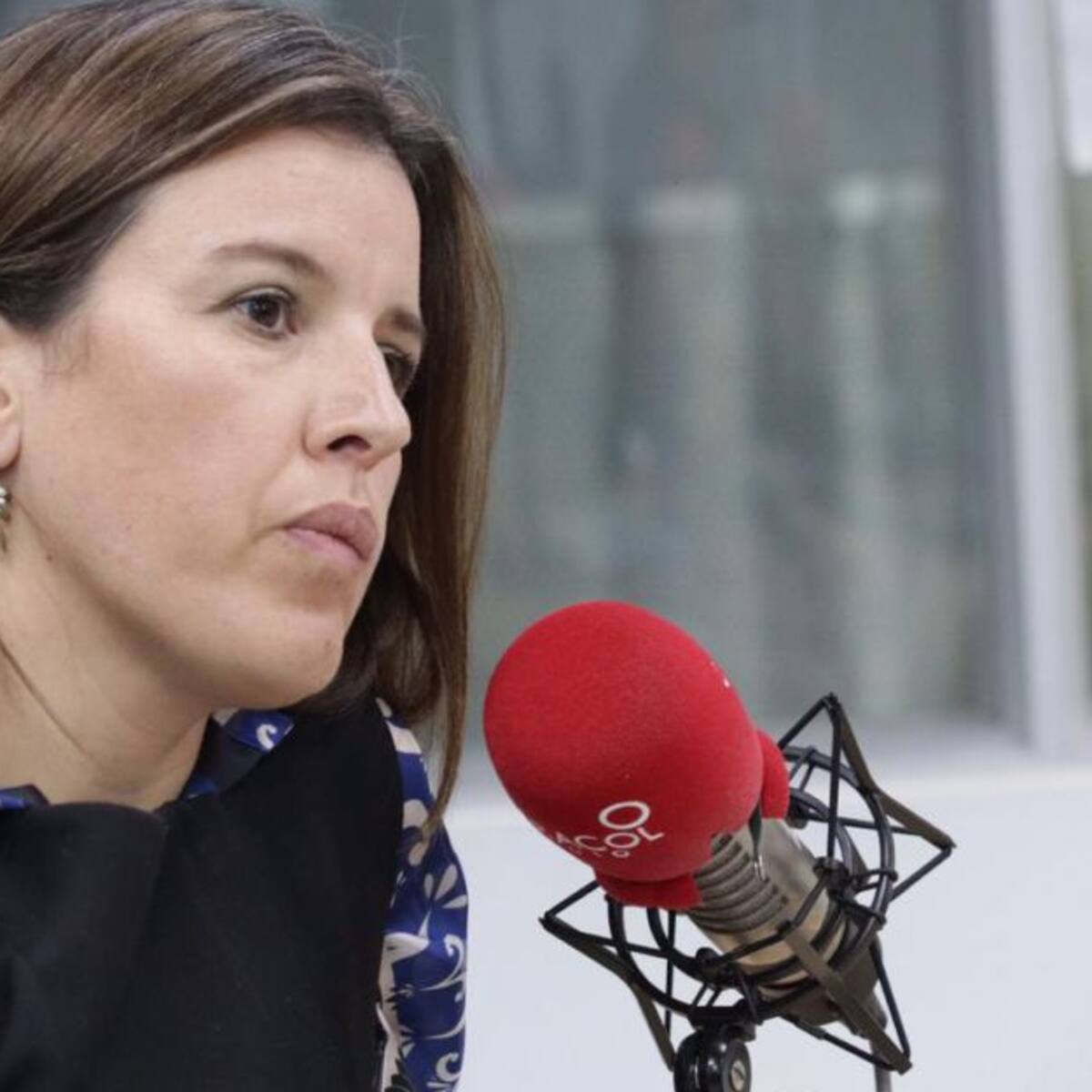 Es un castigo de carácter político: Sandra Borda, sobre descertificación a Colombia