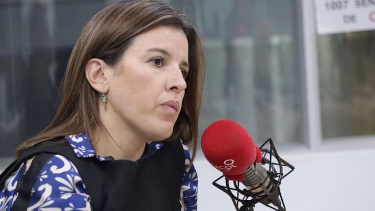 Es un castigo de carácter político: Sandra Borda, sobre descertificación a Colombia