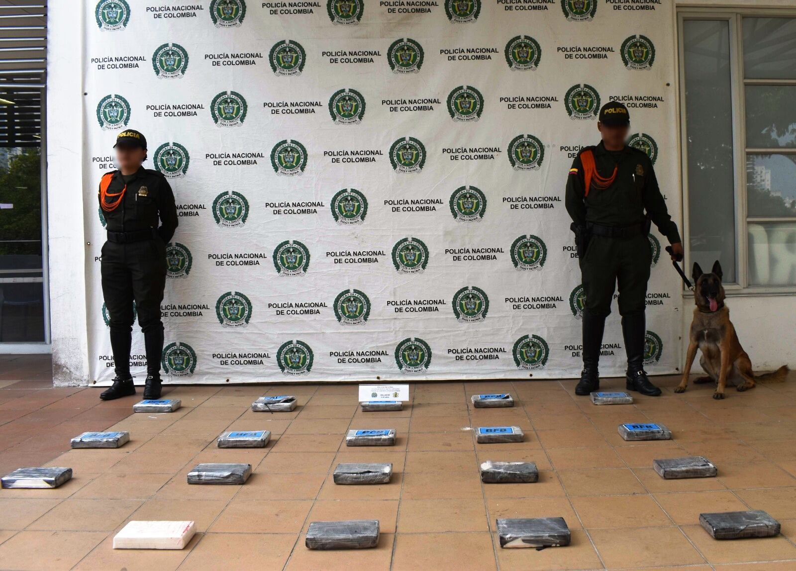 Encontraron cocaína y marihuana en una bodega de encomiendas en El Bosque de Cartagena