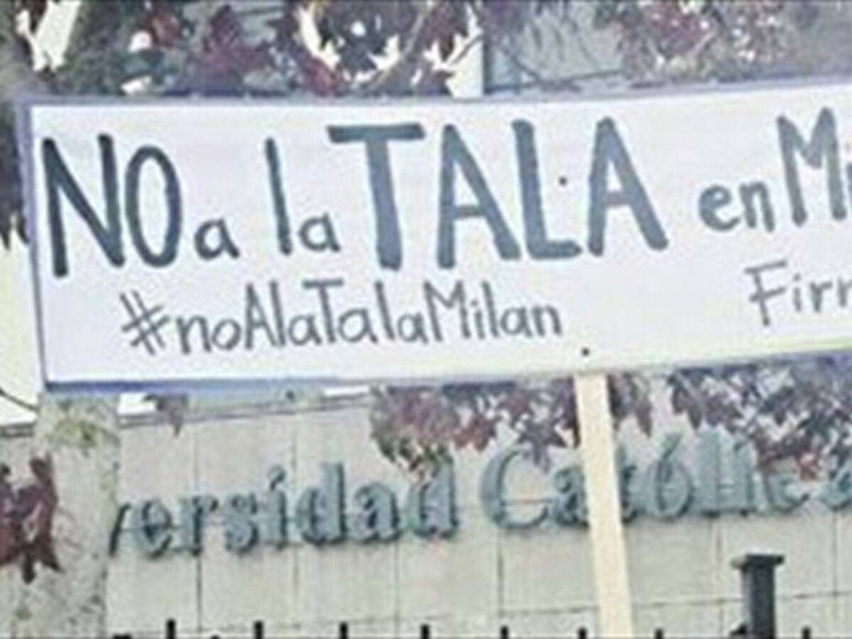 En Manizales rechazan la tala de 99 árboles para construir un bulevar