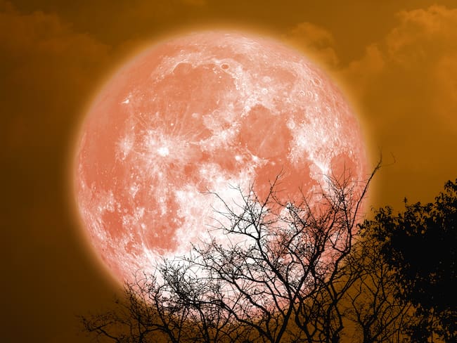 Luna de Fresa junio 2023 (Elementos de esta imagen proporcionados por la NASA). Foto: Getty Images