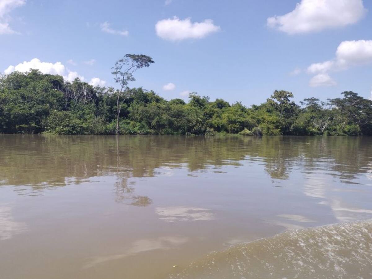 Licitación para obras del Canal del Dique se abriría en febrero: ANI