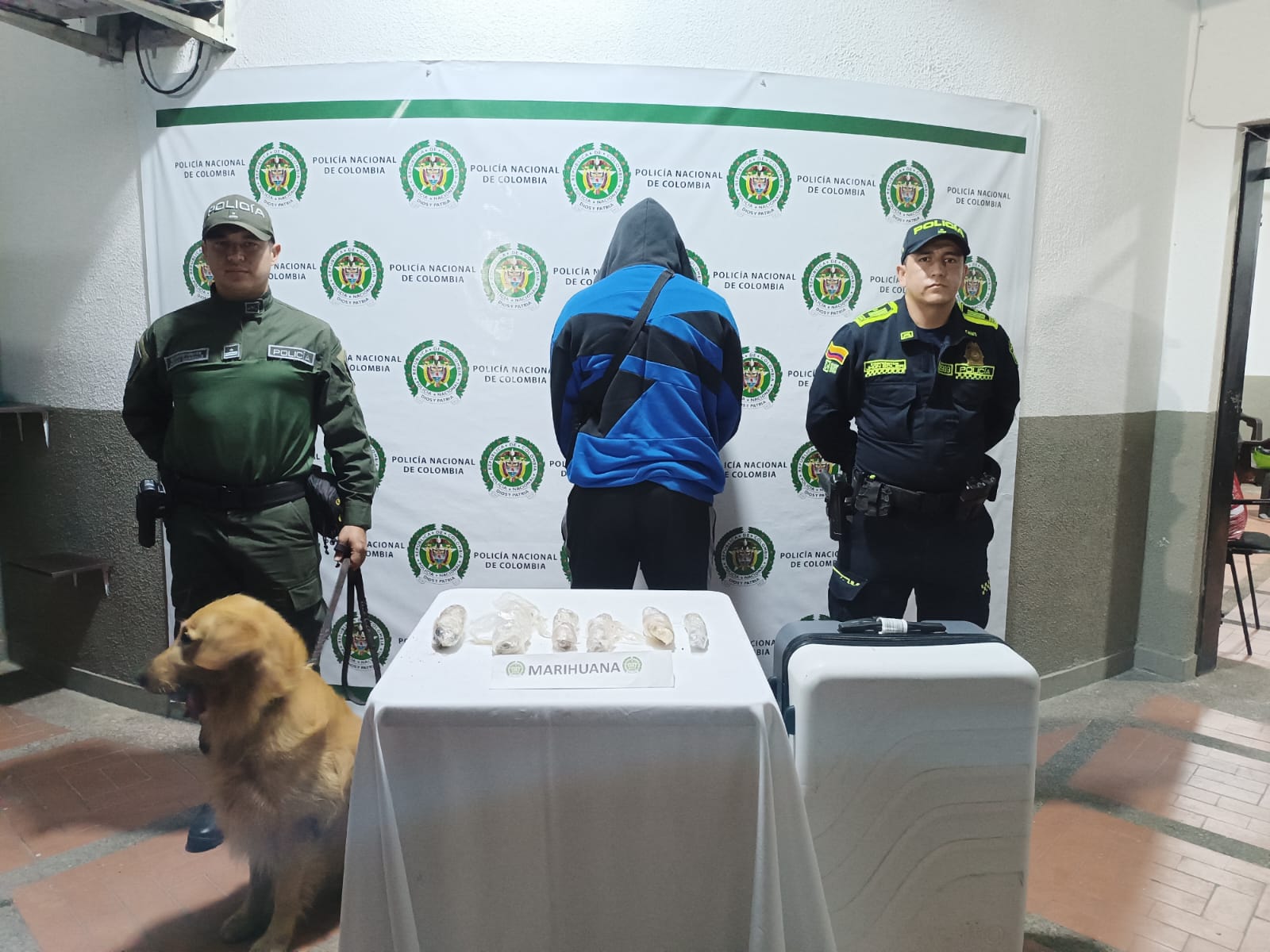 Gracias al perro Nico, la Policía decomisó 370 gramos de marihuana ocultos en chorizos en el aeropuerto El Edén de Armenia. Foto: Cortesía Policía Quindío