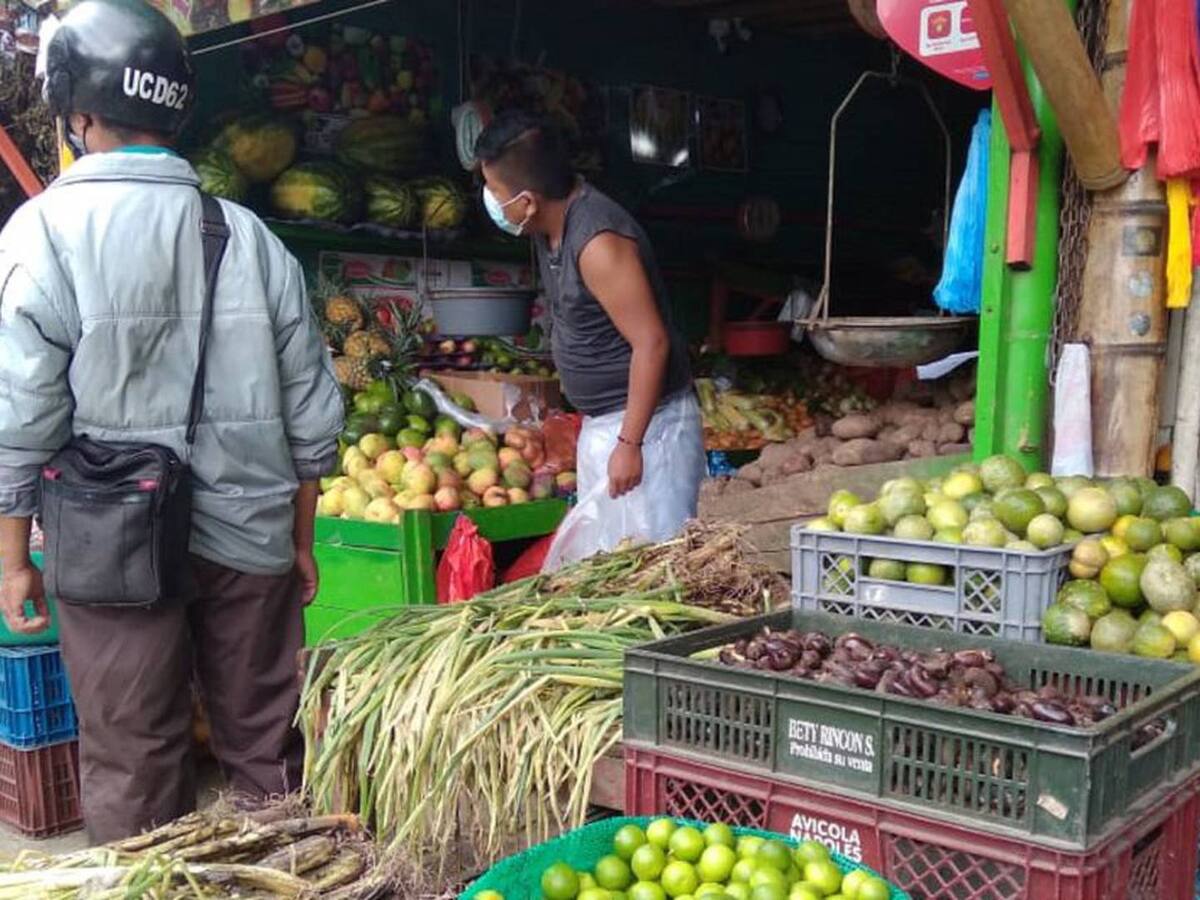 Papa, zanahoria y cebolla de huevo con incremento de precios por lluvias e inflación