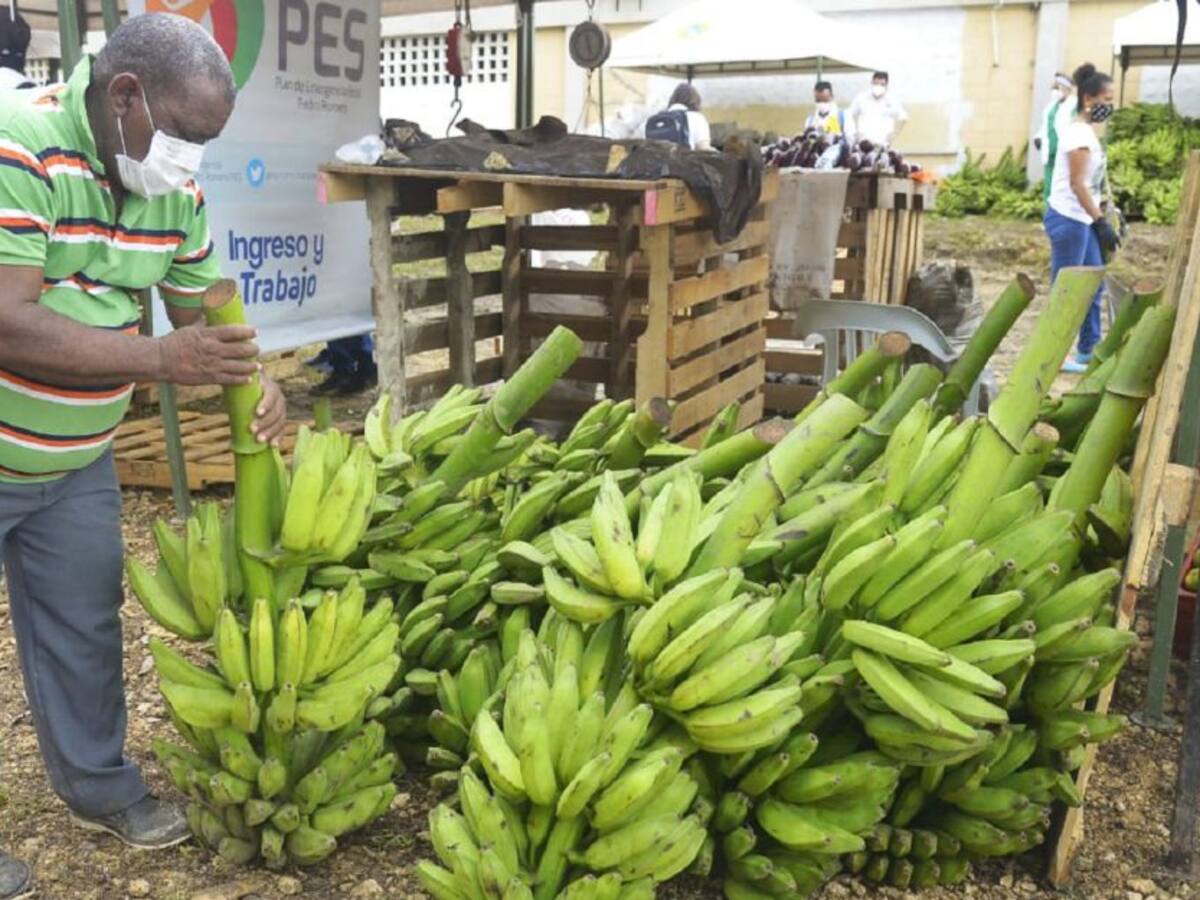 Realizan mercado campesino en Cartagena