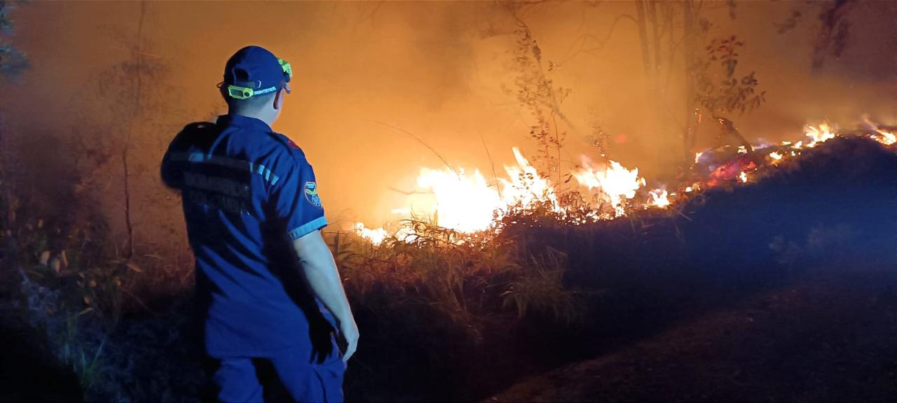 El 95 % de los incendios forestales son causados por acciones humanas. Foto Gobernación del Huila.