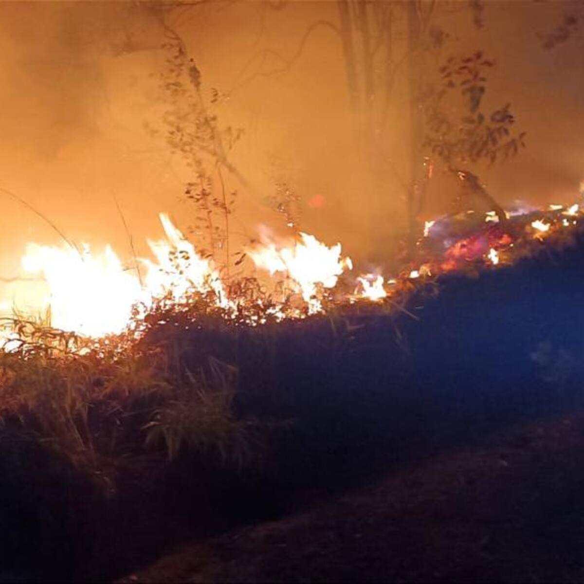No paran los incendios forestales por segunda temporada de menos lluvias en el Huila