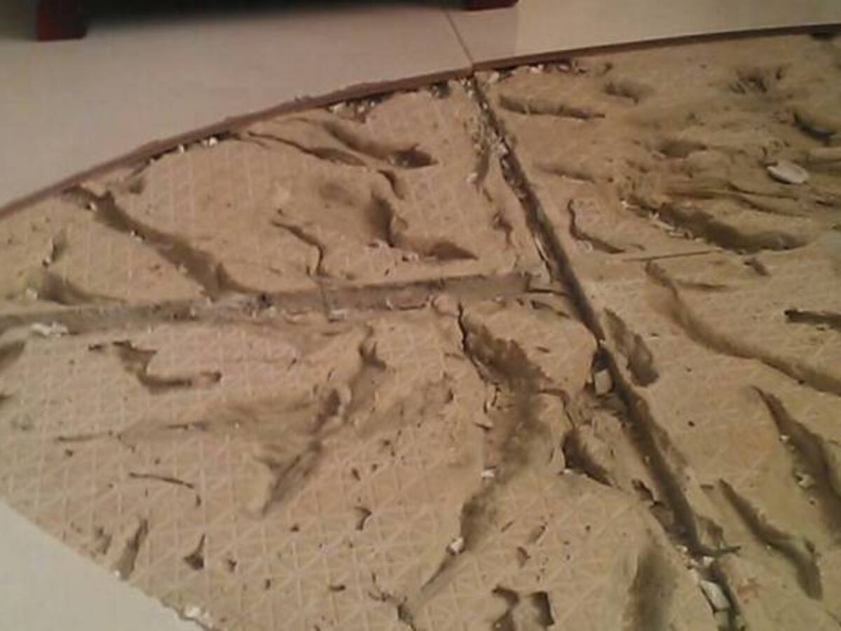 Tenemos un año para efectuar las reparaciones en el conjunto residencial Cisneros: Fomvivienda