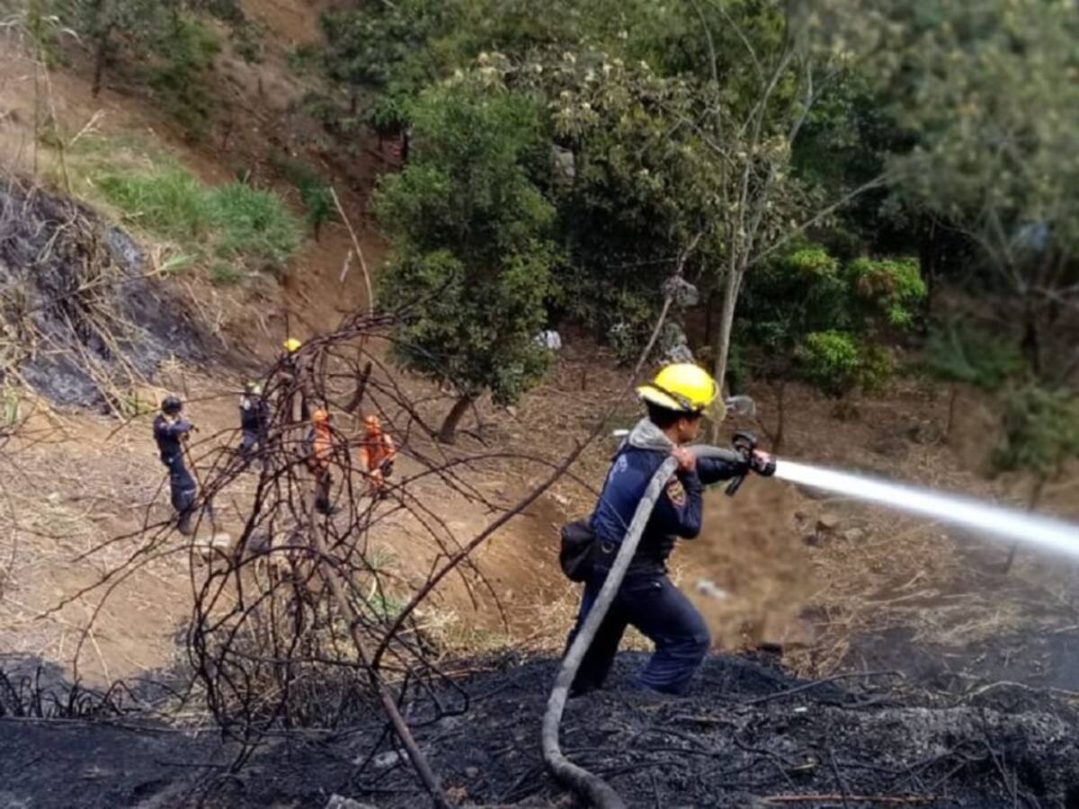 Un incendio vegetal puso en riesgo 25 casas en Bello