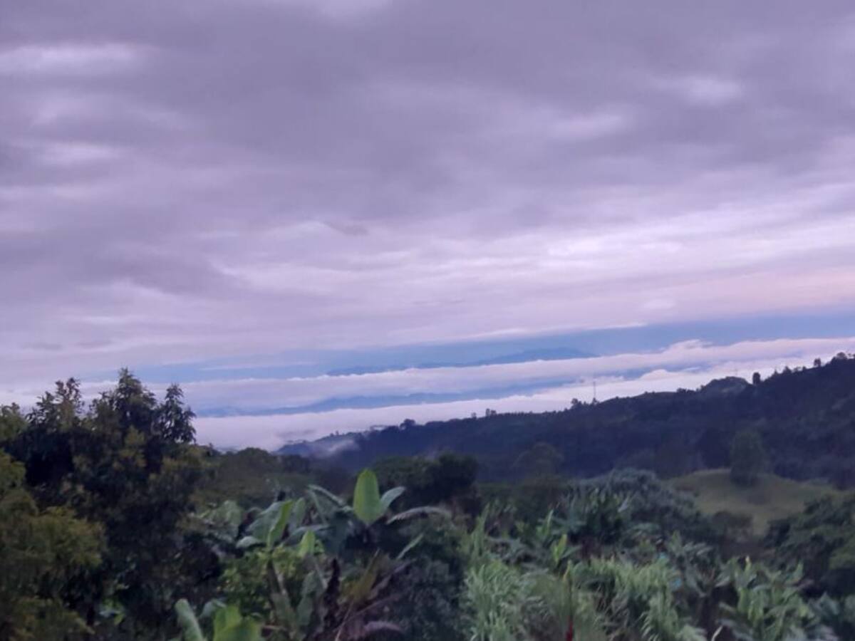 Las noticias más importantes de Armenia y el Quindío, viernes 24 de julio