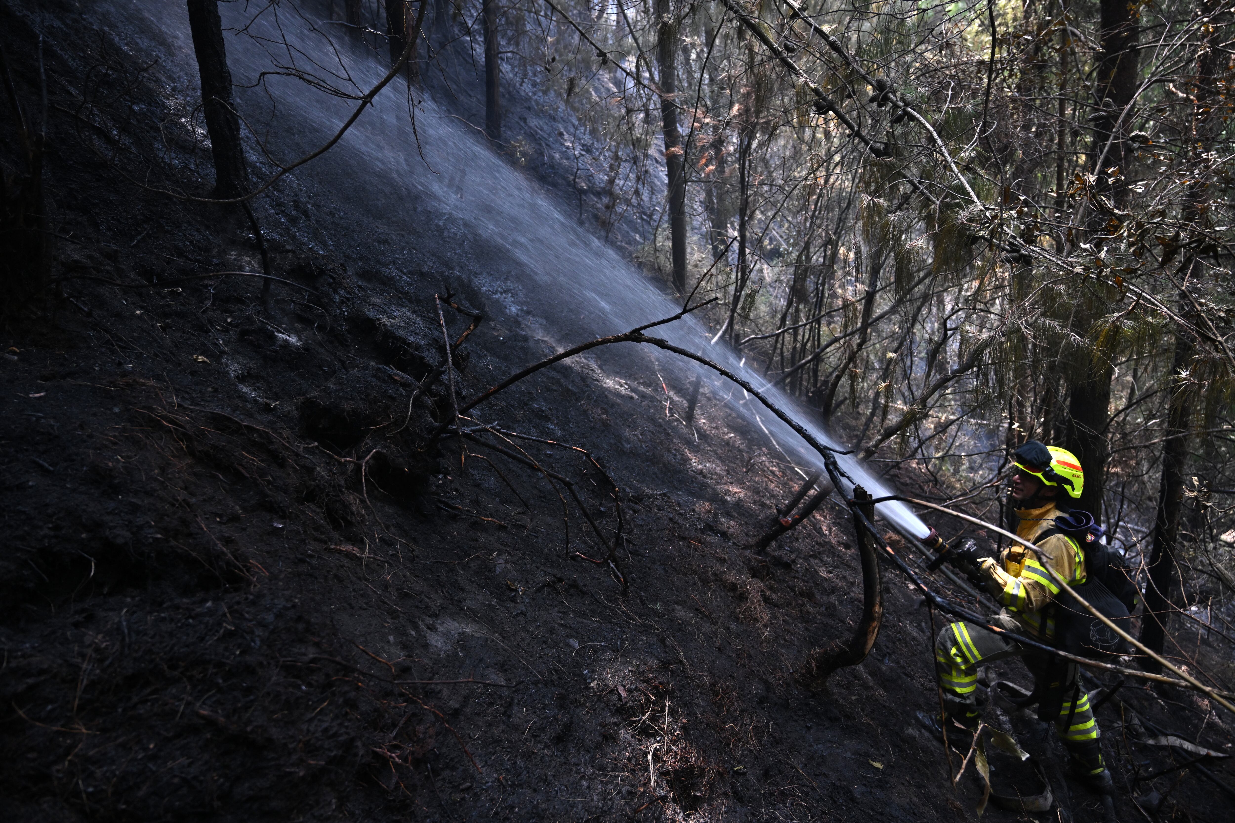 Incendio forestal en Bogotá el 25 de enero de 2024. (Foto de RAÚL ARBOLEDA/AFP vía Getty Images)
