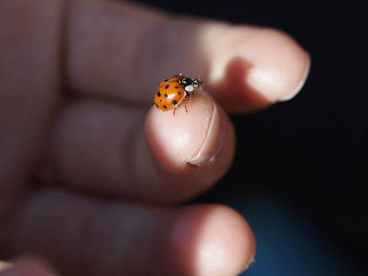 ¿Qué podemos hacer por el planeta?