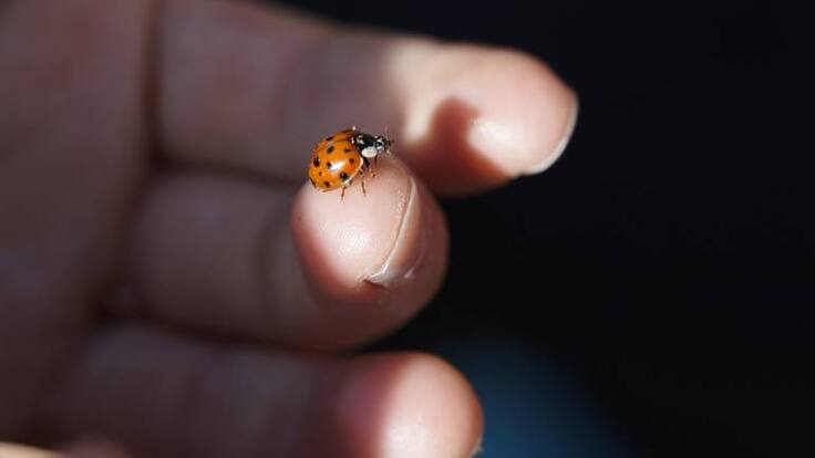 ¿Qué podemos hacer por el planeta?