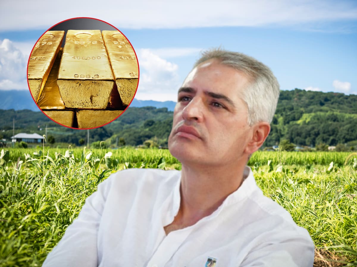 Gobernador rechazó entrega del Gobierno Nacional de 9 mil hectáreas a minera china en Antioquia