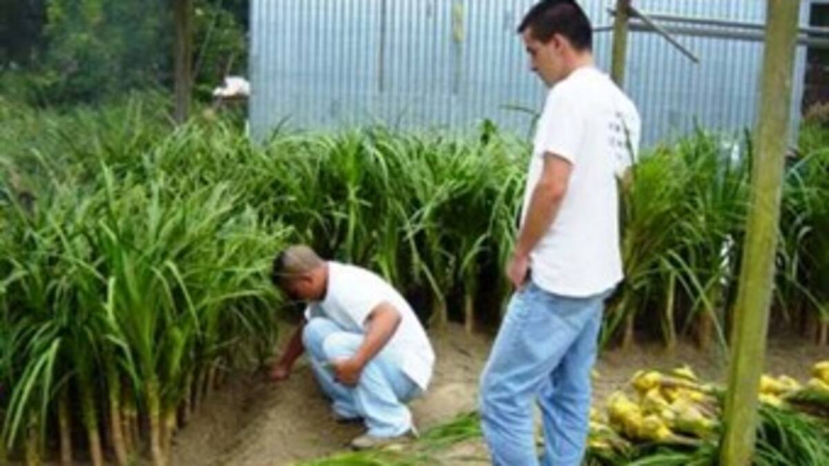 Innovación tecnológica para el agro en foro de la UN