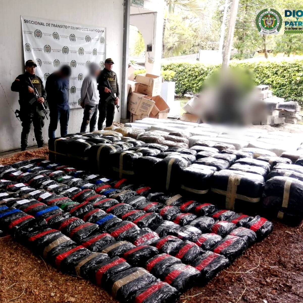 Cayó una tonelada de marihuana en el Suroeste de Antioquia