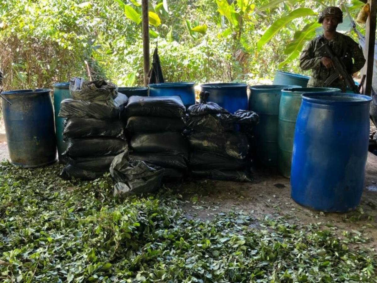 Destruidos 10 laboratorios para el procesamiento de pasta base de coca en Cauca