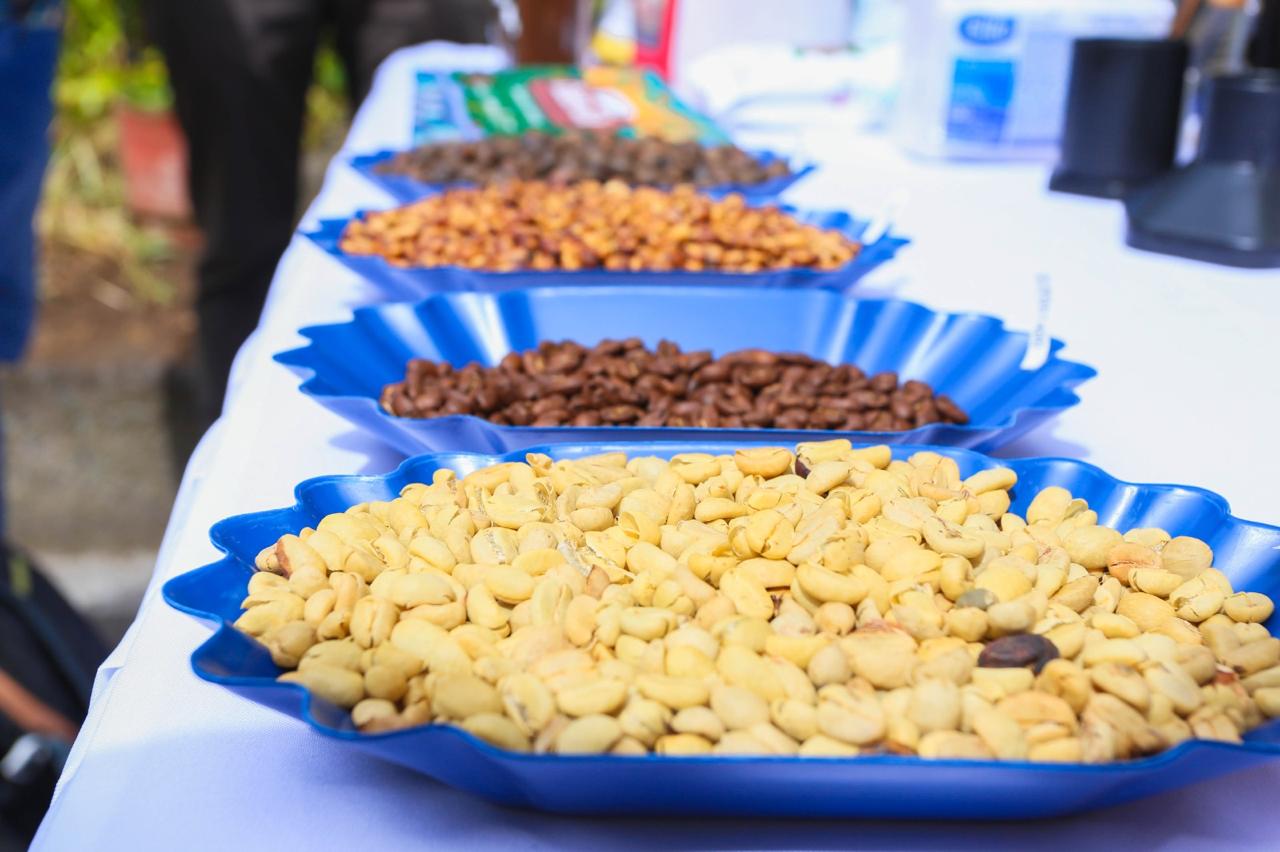 Café en grano. Foto: Gobernación de Nariño