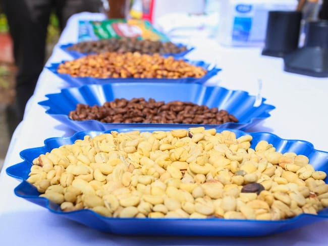 Café en grano. Foto: Gobernación de Nariño