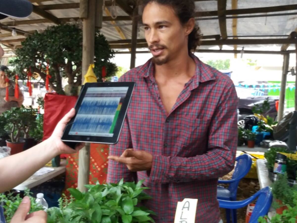 Hierbas aromáticas, sinónimo de bienestar