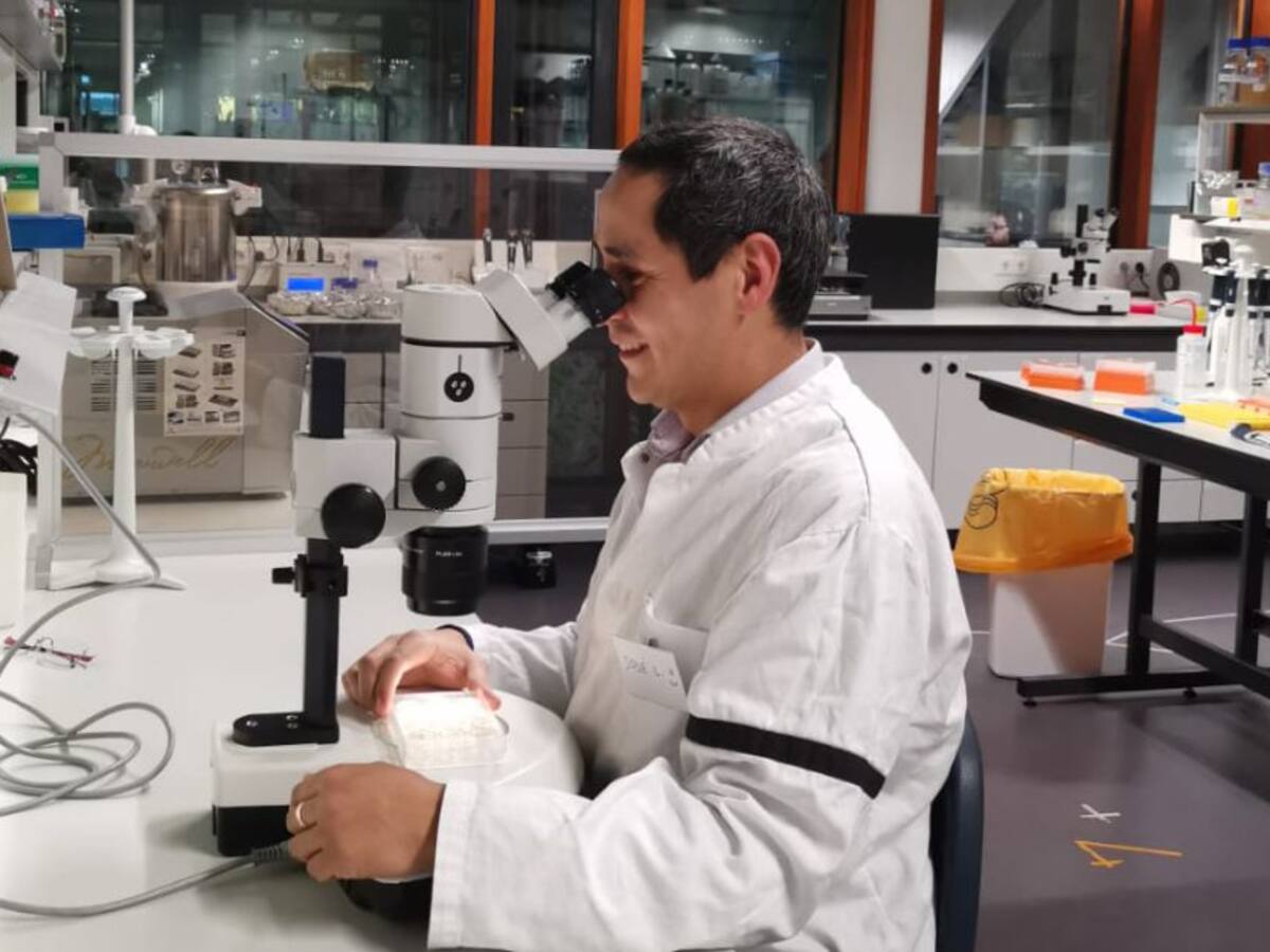 Los nemátodos, plagas microscópicas que pueden destruir cultivos