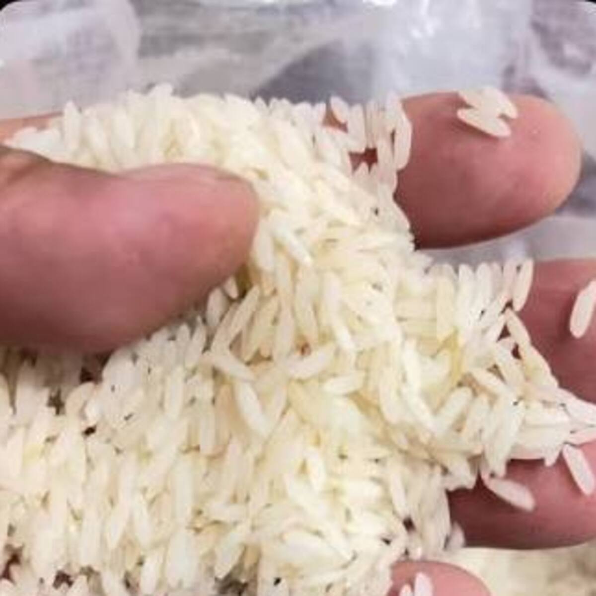 Arroceros del Huila advierten crisis histórica por caída de precios y alza del 50 % en fertilizantes