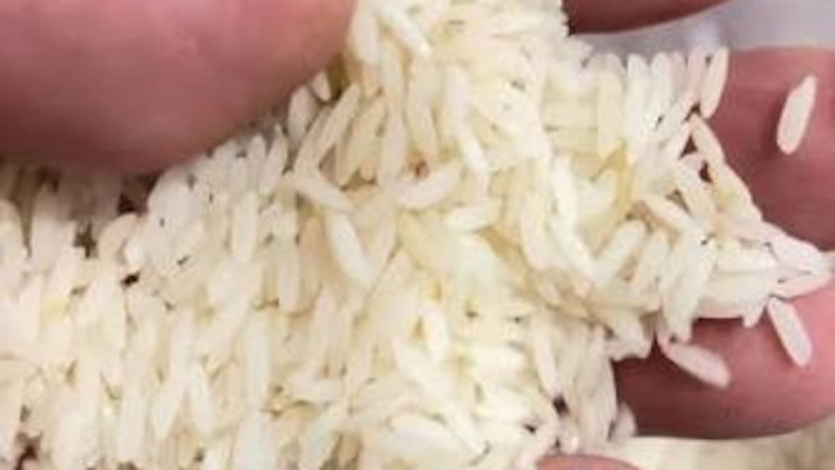 Arroceros del Huila advierten crisis histórica por caída de precios y alza del 50 % en fertilizantes