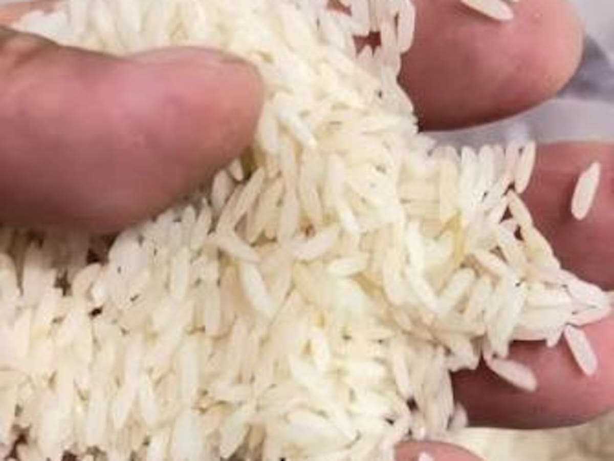 Arroceros del Huila advierten crisis histórica por caída de precios y alza del 50 % en fertilizantes