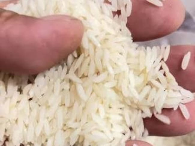 Preocupación por el incremento del 50 % en el costo de los fertilizantes. Foto Relacionada.