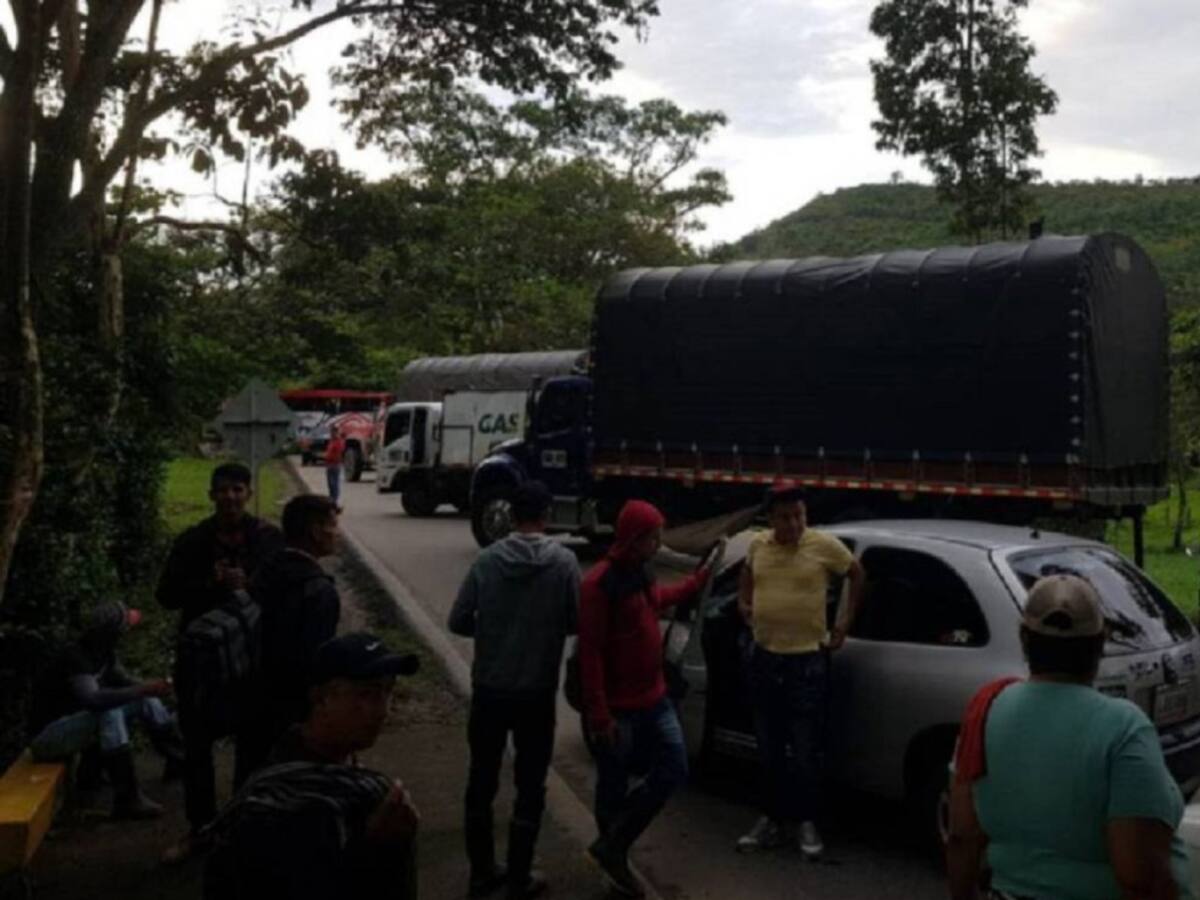 Comunidades campesinas del Catatumbo buscan abrir mesa de diálogo