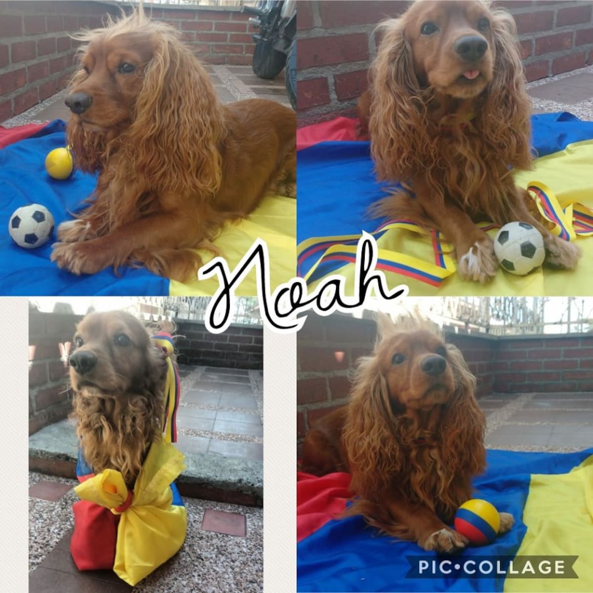 Diego Marín nos mandó la foto del hincha número 1 de la selección Colombia, Noah 