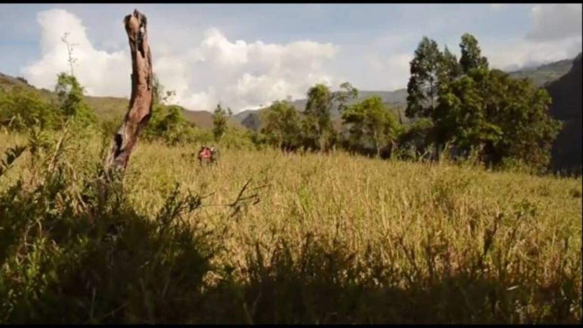 Desde Garagoa se invita a la denuncia inmediata de los incendios