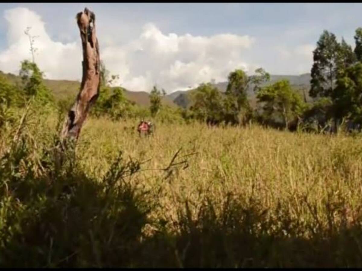 Desde Garagoa se invita a la denuncia inmediata de los incendios