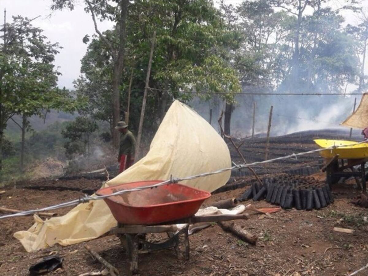 Denuncian que indígenas quemaron cultivos en una finca en Cauca