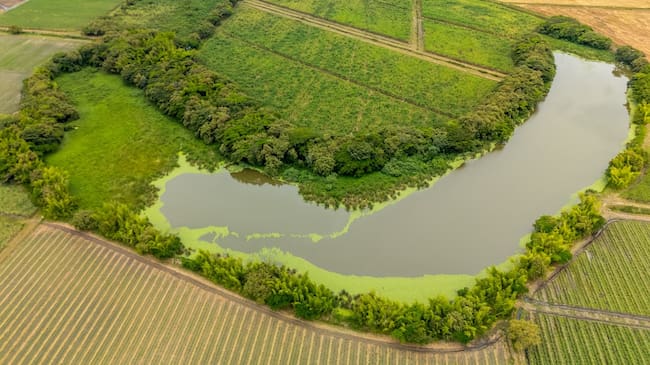 Áreas protegidas en el Valle del Cauca / Foto: CVC