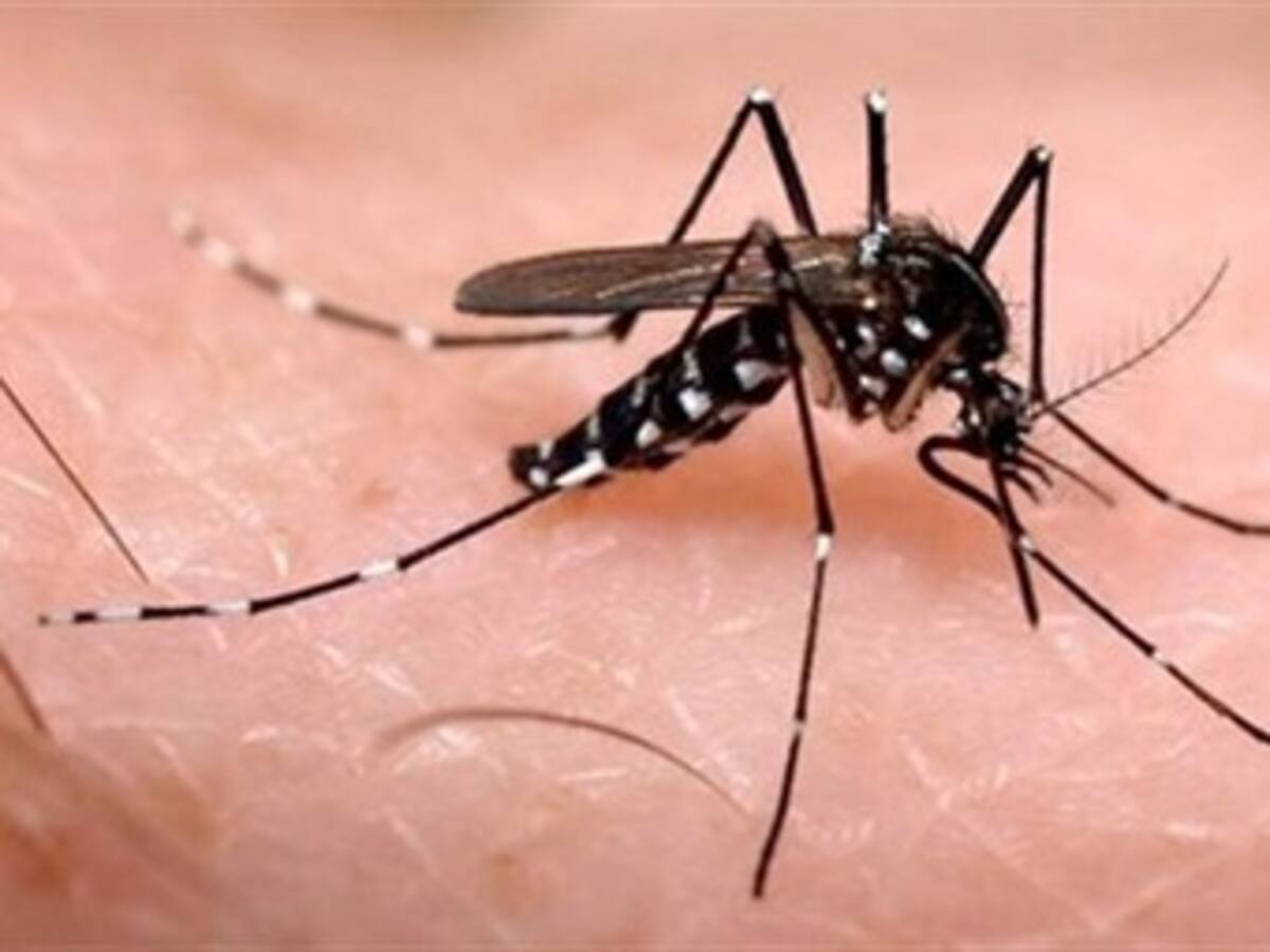 En alerta autoridades de salud en Cartagena por el virus del Zika