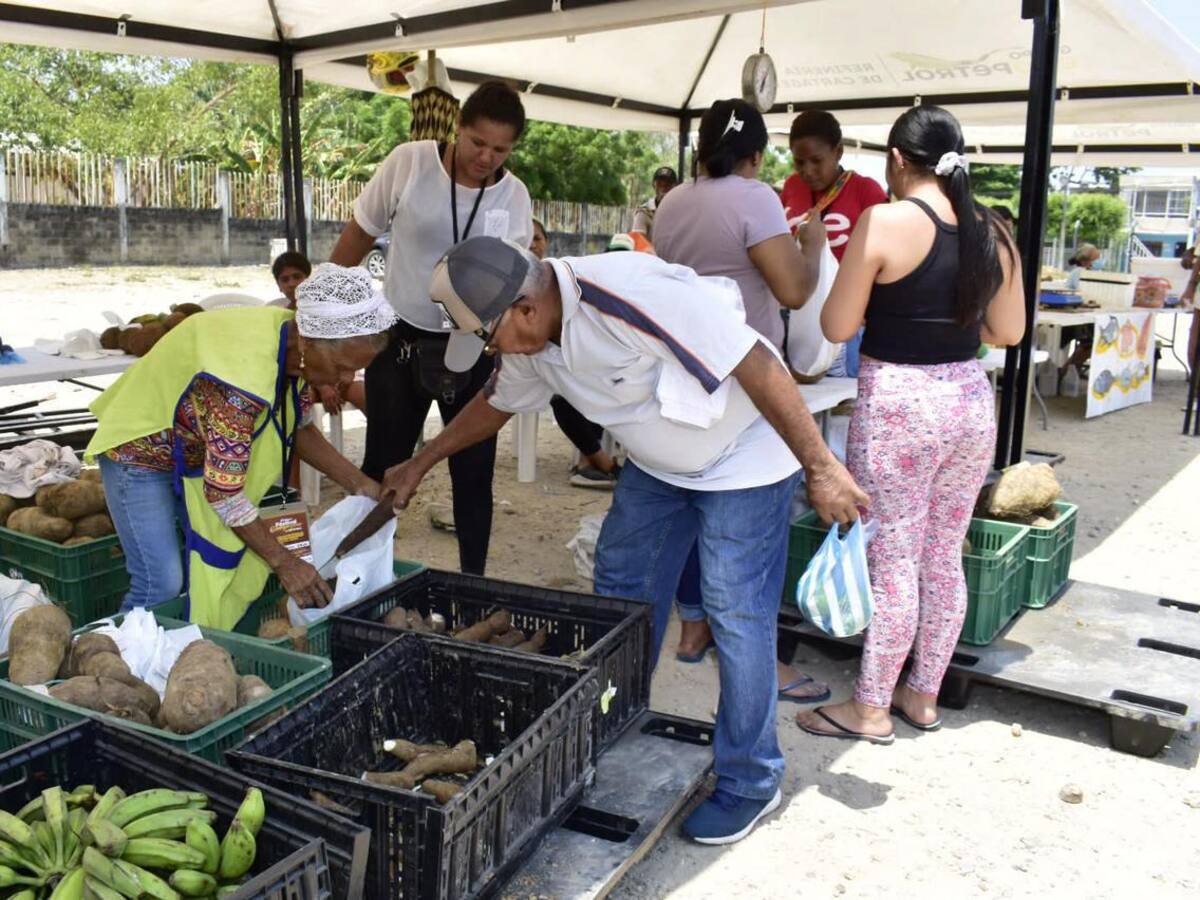 19,72 toneladas de alimentos vendidos en mercados campesinos del PES Pedro Romero
