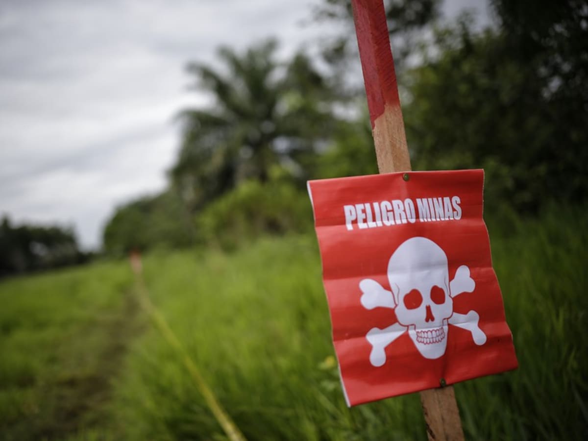 Nuevo accidente con mina antipersonal en Segovia: un semoviente murió