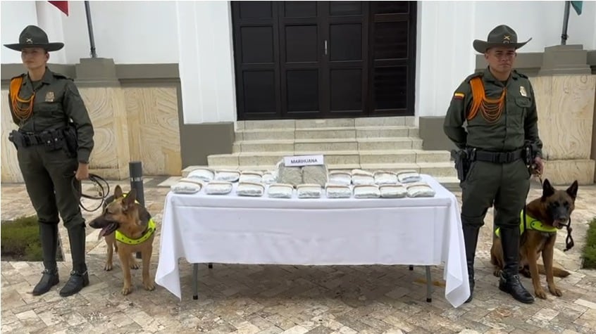 Marihuana incautada en Bucaramanga