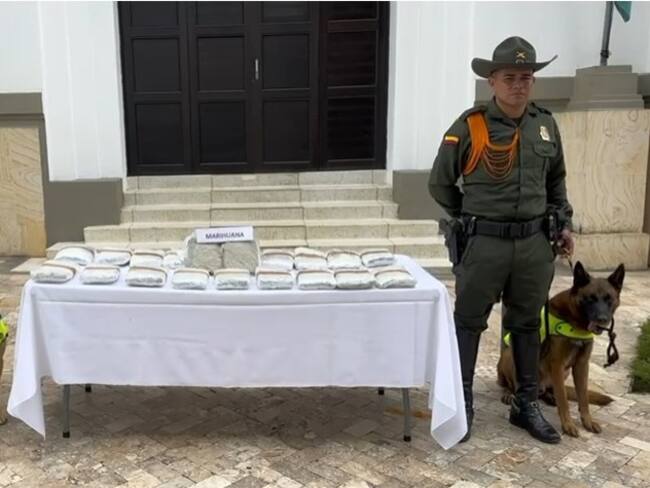 Marihuana incautada en Bucaramanga