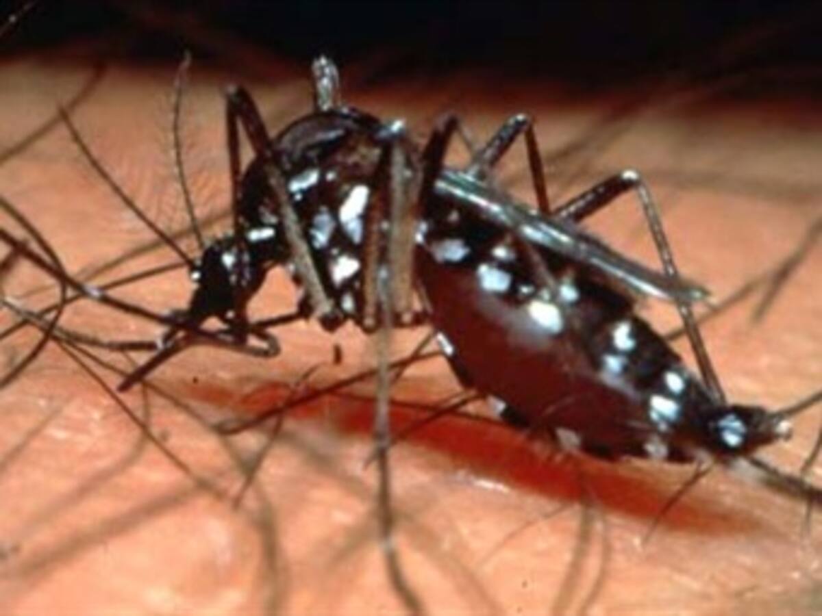 Alerta en el Huila por dengue hemorrágico