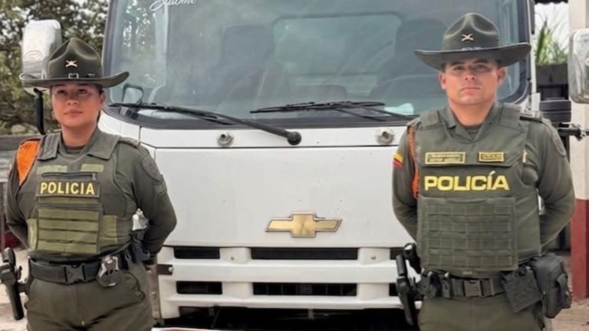 Desmantelan matadero clandestino de caballos en Silvania: incautaron 8.500 kilos de carne
