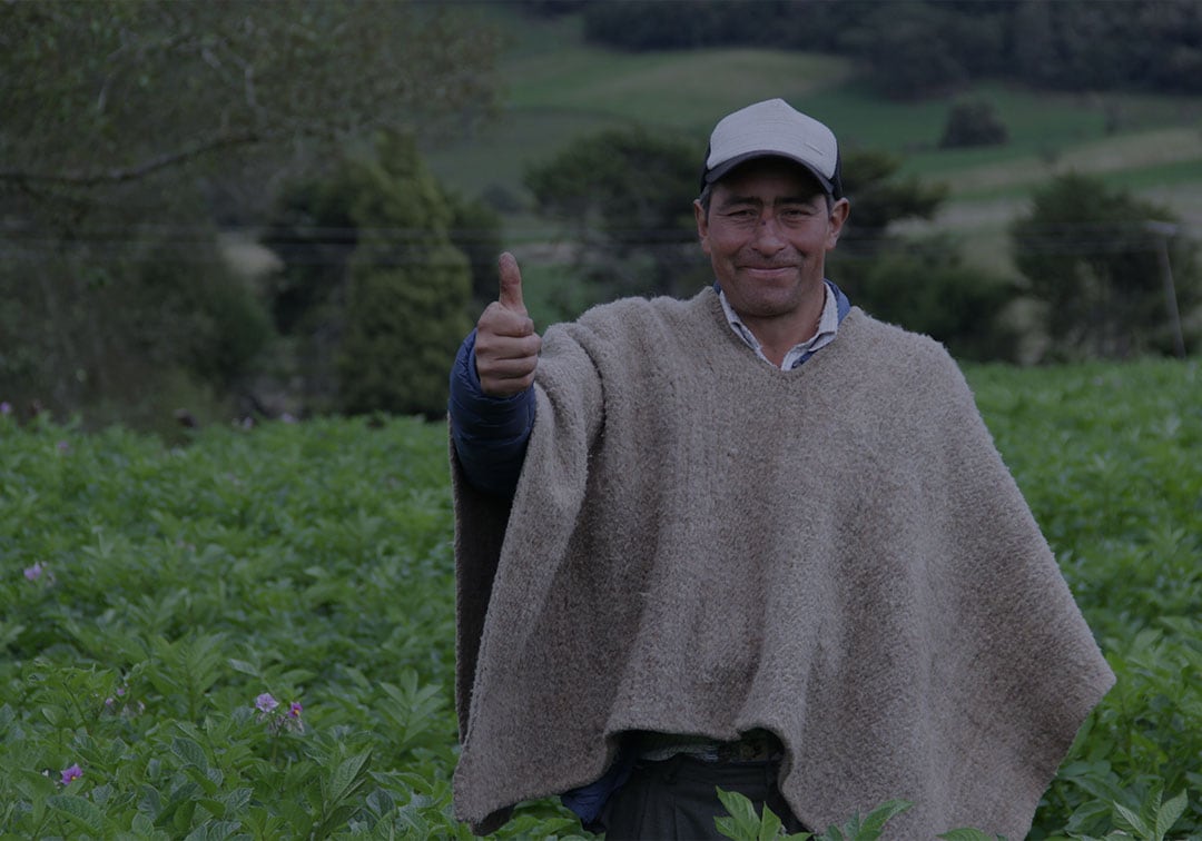 La Inteligencia Artificial irrumpió en la agricultura y el mundo rural.
