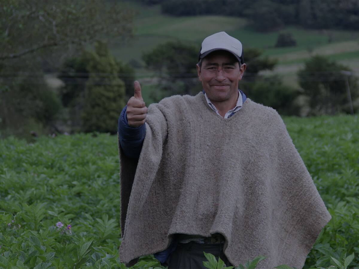 La Inteligencia Artificial irrumpió en la agricultura y el mundo rural.