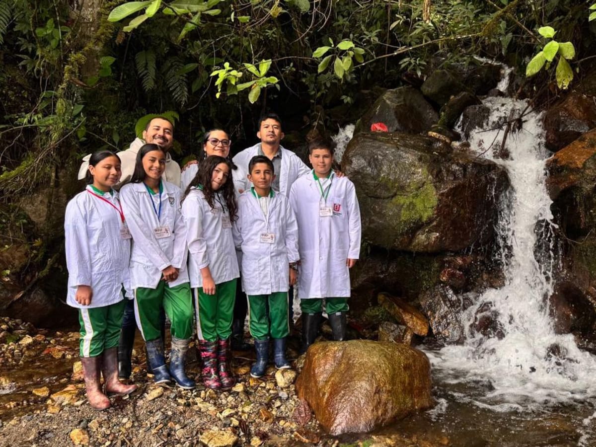 Estudiantes de Garzón crean aplicación para reportar contaminación en fuentes hídricas
