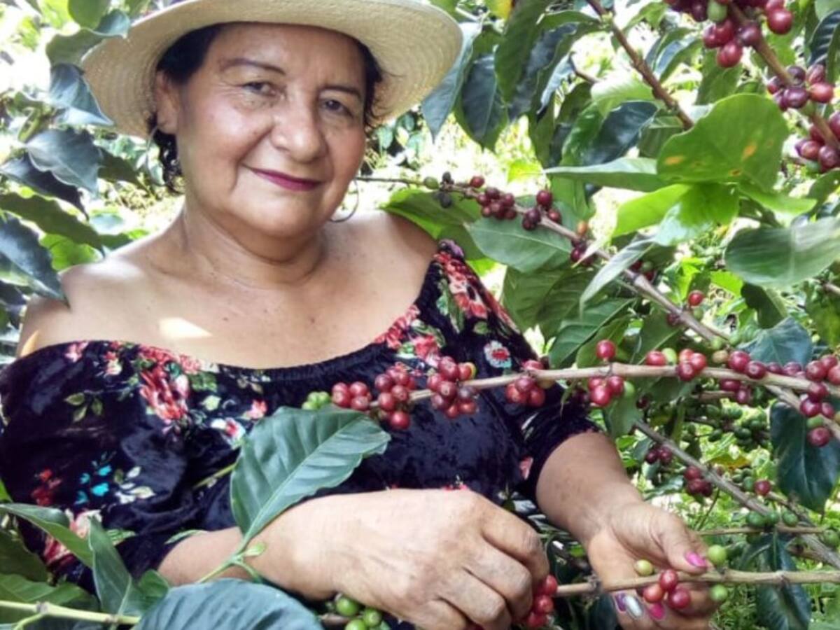 Gobierno de Caldas incentiva los seguros para el agro