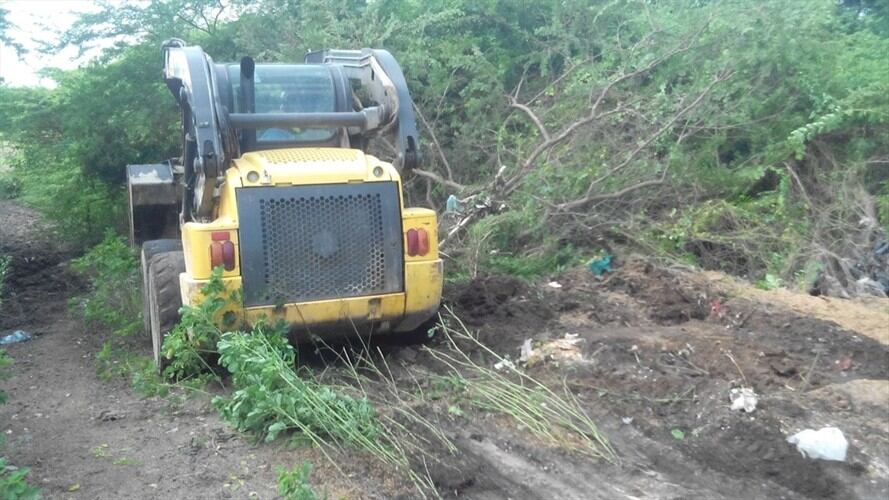 Comunidad educativa alerta sobre presencia de serpientes en colegio de Malambo, Atlántico. Foto: Limpieza de Monte Secretaría de Educación de Malambo